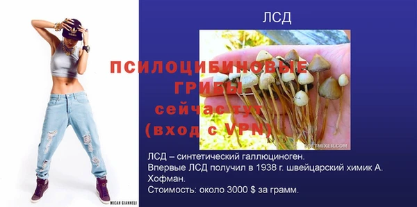 гидропоника Липки