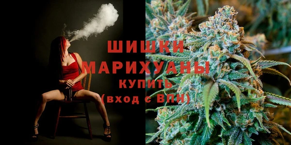 PSILOCYBIN Лиски