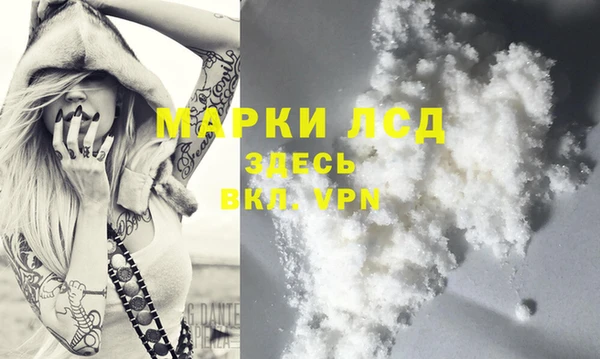 гидра Ладушкин