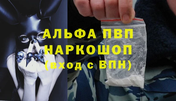 гидра Ладушкин