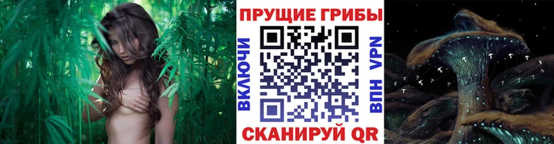 что такое наркотик  Кола  ОМГ ОМГ зеркало  Галлюциногенные грибы мухоморы 